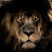 Tribe of Judah Lion (Zion)