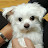 @쓰리브라더스