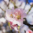 @godofhope Avatar