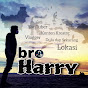 bro HARRY is back - @broHARRYisback - Youtube