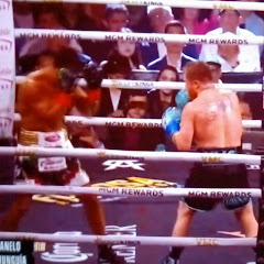 Bias Boxing: ELITE Only