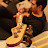Majid Alizadeh - Bass Guitar