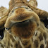 Channel Image