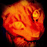a-WAiu0wFRw-channel-avatar-Angel