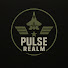 WFCkdPR8gXM-channel-avatar-Pulse  Realm