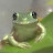 @frog_017