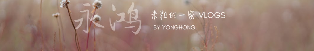Yonghong 米粒的一家 Banner