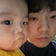 샤니파파