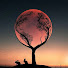 NdC9J7qBChk-channel-avatar-Dee