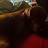 @AvgSkillGamer's avatar