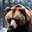 @bear-bad
