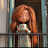 @جوجو-ش7س4ك