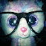 -1llhpQyLiQ-channel-avatar-Douglas and beanie boo Paradise 