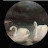 @هيثمجواد-خ9ذ