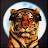 @redbelltiger
