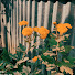 cfqXWoi68Dw-channel-avatar-REJOICE