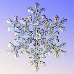 Lord Winter Beats