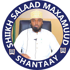 SHEEKH SHANTAAY Avatar