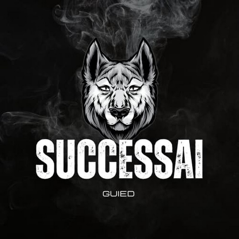 successai guied