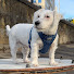 eJWj-omnjYg-channel-avatar-Angus Thornett