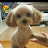 @안농-j1j