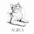 BeqwSUIHo-s-channel-avatar-Agira Co