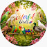 qUEp2SrzFB0-channel-avatar-Colorful birds 