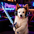 feOZT_mtm-8-channel-avatar-Penny GamingClub