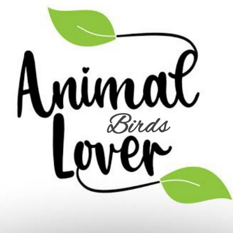 Animals n Birds Lover
