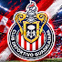 t1gZEDFhHL0-channel-avatar-El Goleador-Chivas