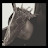 @MalakMostafa-qn7pi