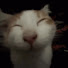 AA2_waHmLvA-channel-avatar-funnyFeline