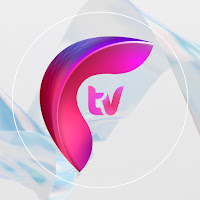 FTV telekanali profile image
