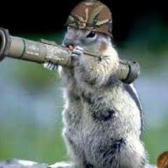 That one squirrel💀