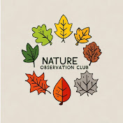 自然観察たいチャンネル