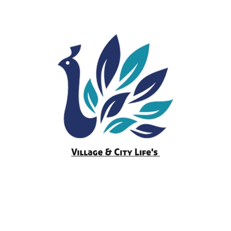 Village & City Lifes