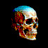 AVK4sXq3ggI-channel-avatar-Straight Biology