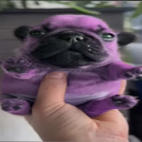 Baby Gronk profile image