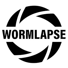 WormLapse net worth