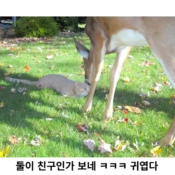 BlockNote image