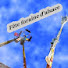 aVYj7GcF2ko-channel-avatar-Tony.Ride68 ©