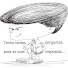 wQBd0WMcpd0-channel-avatar- Psicanálise e afins - Hélio Miranda Jr