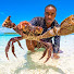 bt3TaQ_ENWI-channel-avatar-SFJ Lifestyle