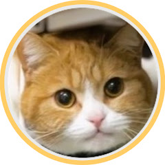 タマ王 TAMAO🐈👑