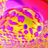 USk5Meumx0U-channel-avatar-DIEDIEDIEDIESDFMOVIE