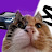 @MEOWmakesvids