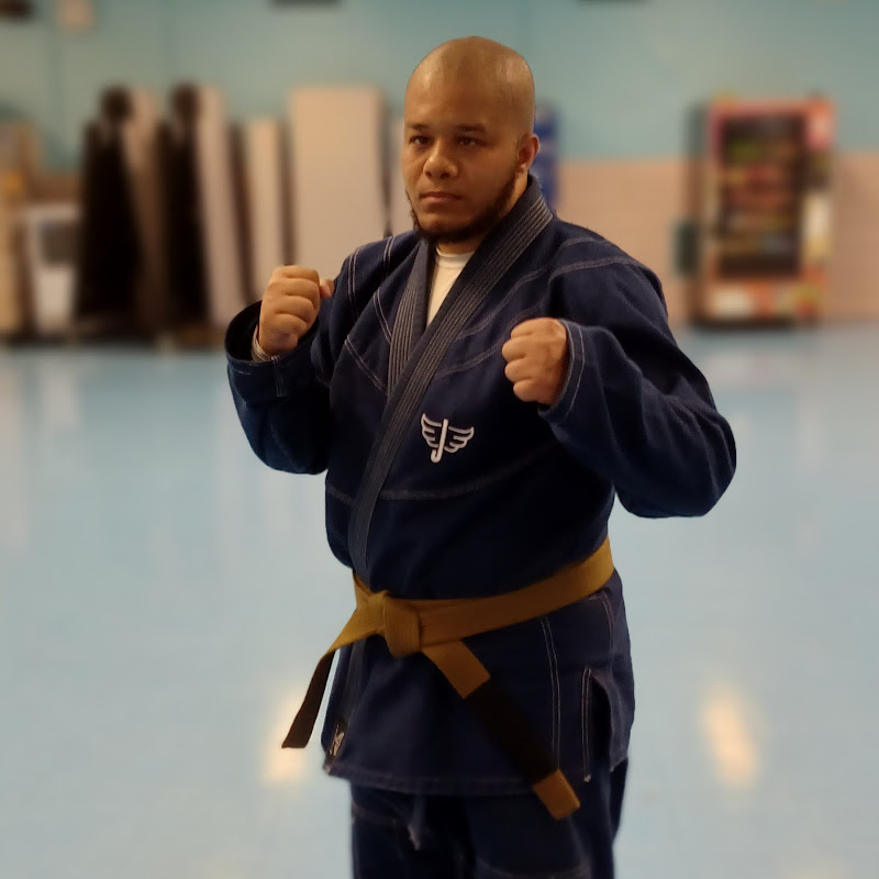 Andres fight analyst