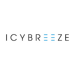 IcyBreeze net worth