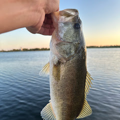 Fishin’ Fellas