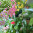 yze9Q7MsqUc-channel-avatar-꽃노트 flowernote